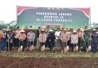 Polresta Banyuwangi Dorong Penguatan Ketahanan Pangan Lewat Penanaman Jagung Kuartal IV 2025